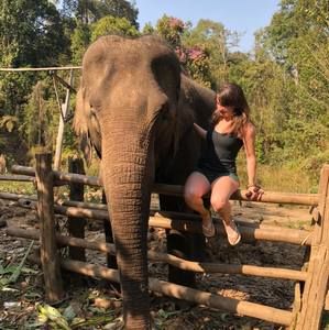 Meet your Posher, Ally